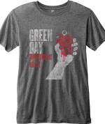 Green Day : American Idiot Vintage Gris 26,80€